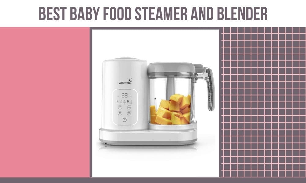 Best Baby Food Steamer And Blender